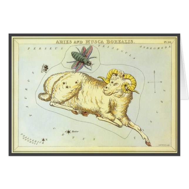 Aries Ram, Constellation Vintage, Miroir d'Uranie (Devant horizontal)