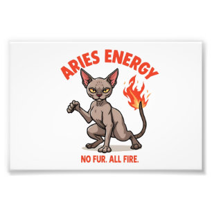 Aries Sphynx-Katze Feuer Energie Sternzeichen Kuns Fotodruck