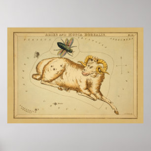 Äries und Musca - Vintages Zeichen des Zodiac-Bild Poster