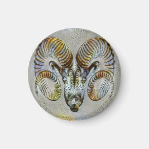 Aries Venice Magnet