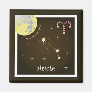 Ariete 21 marzo al 20 aprile Magnet