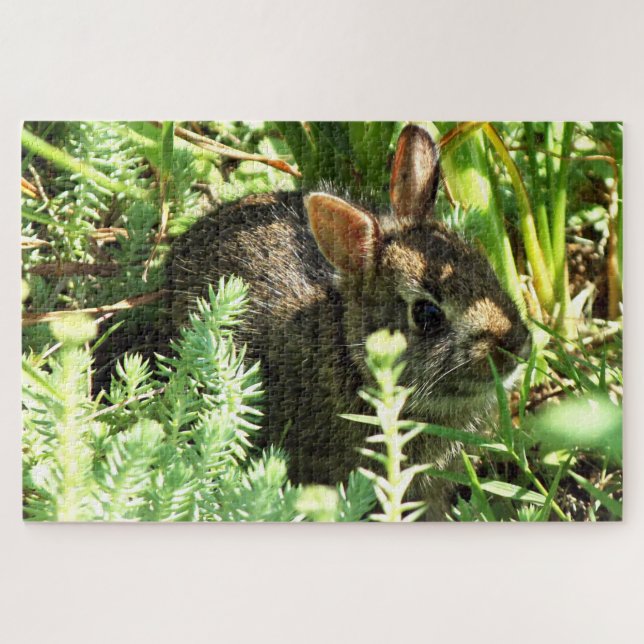Arisdale Arts: Junge Kaninchen im Gras (Horizontal)