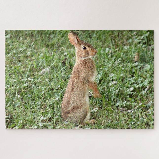 Arisdale Arts: Stehendes wildes Kaninchen (Horizontal)