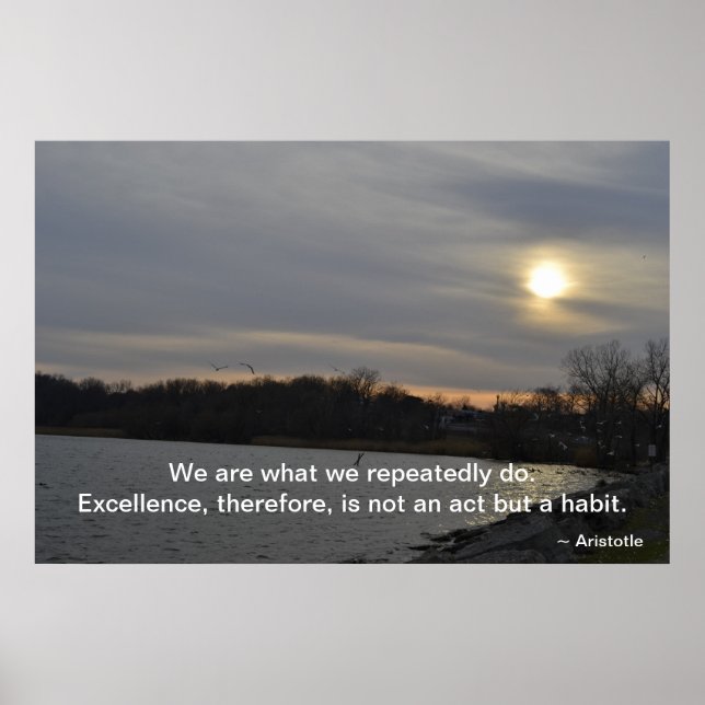 Aristotle - Excellence Poster (Vorne)