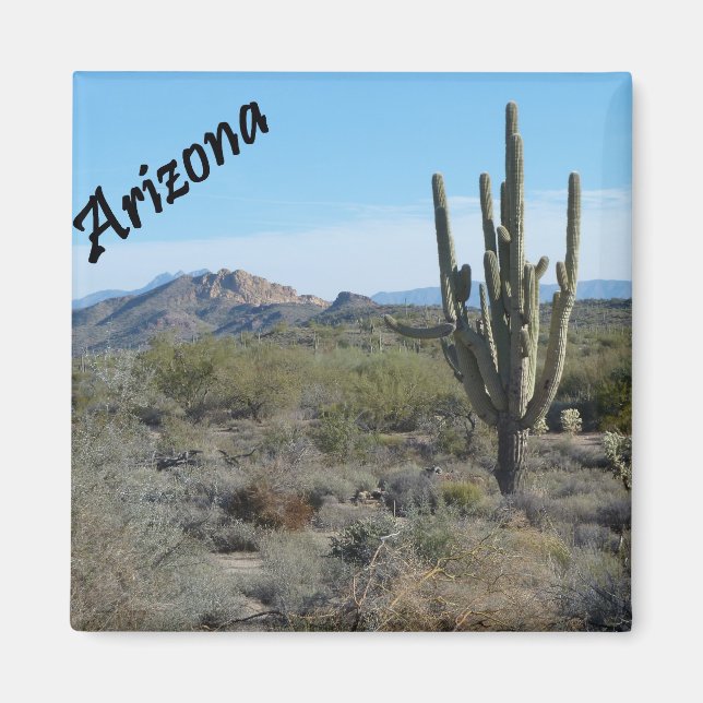 Arizona Apache Trail Cactus Foto Magnet (Vorne)