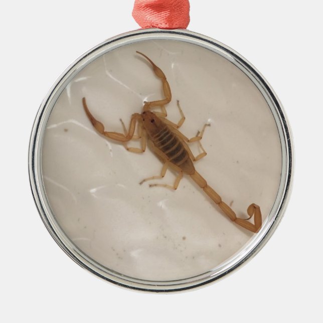 Arizona-Barken-Skorpion Ornament Aus Metall (Vorne)