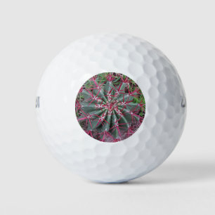 Arizona Barrel Cactus Wüste Pflanze Nahes Foto Golfball