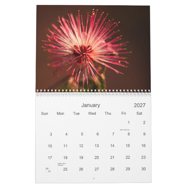 Arizona-Blumen Kalender (Jan 2027)