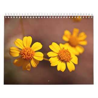 Arizona-Blumen Kalender