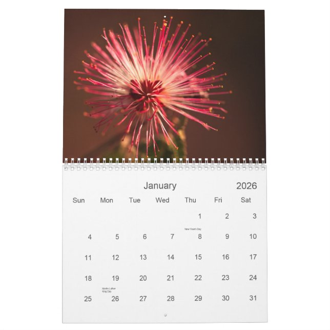 Arizona-Blumen Kalender (Jan 2026)