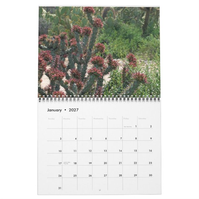 Arizona Cacti Kalender (Jan 2027)