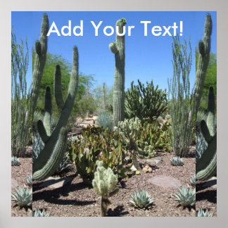 Arizona Cactus Garden Poster