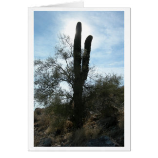 Arizona Cactus (Leere)