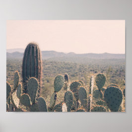 Arizona Cactus | Poster