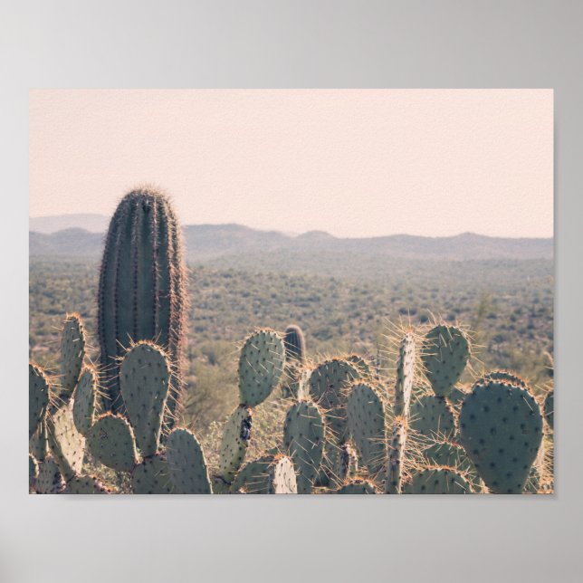 Arizona Cactus | Poster (Devant)