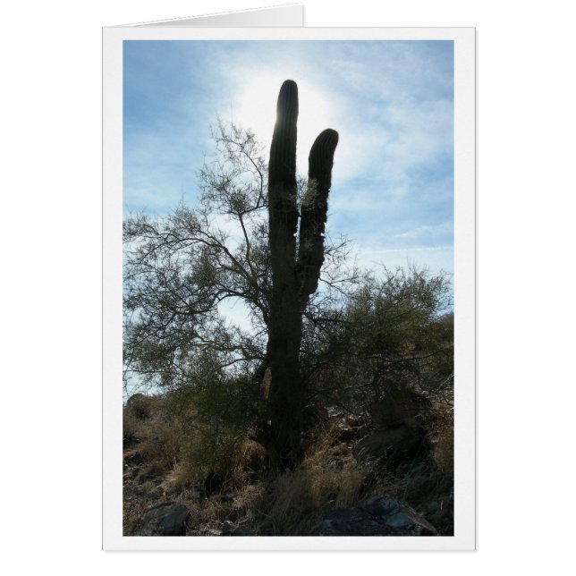 Arizona Cactus (vide) (Devant)