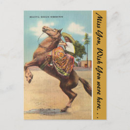 Arizona, eine schöne mexikanische Pferdeschön Postkarte