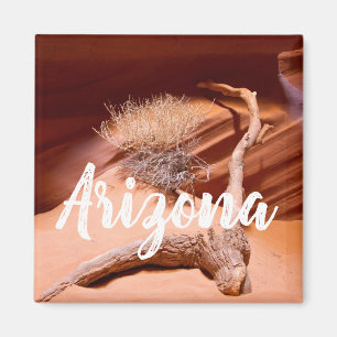 Arizona erkunden magnet