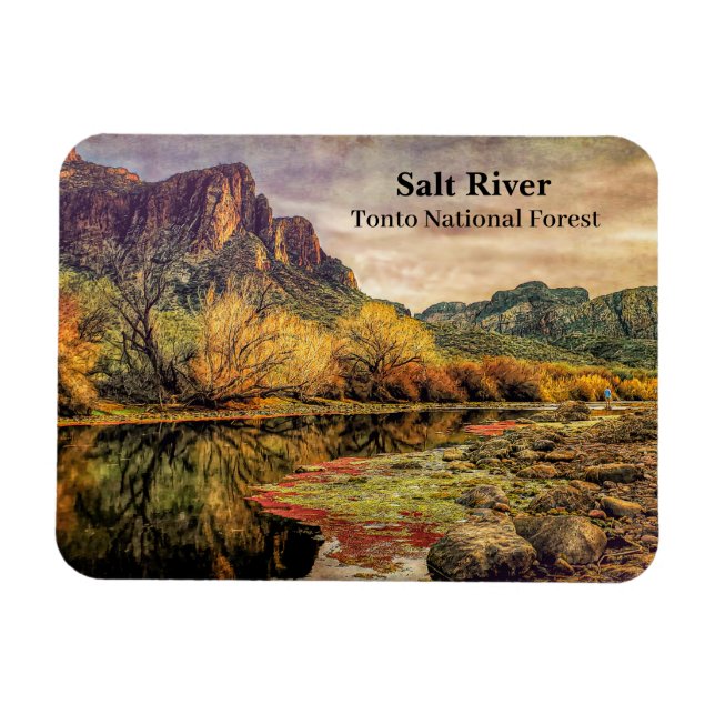 Arizona Fluss Sonoran Wüste Albergo Colmanicchio Magnet (Horizontal)