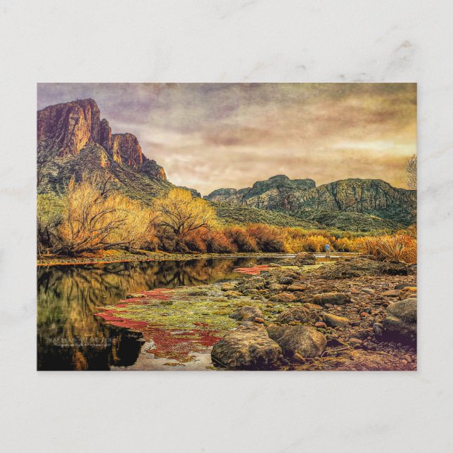 Arizona Fluss Sonoran Wüste Albergo Colmanicchio Postkarte (Vorderseite)