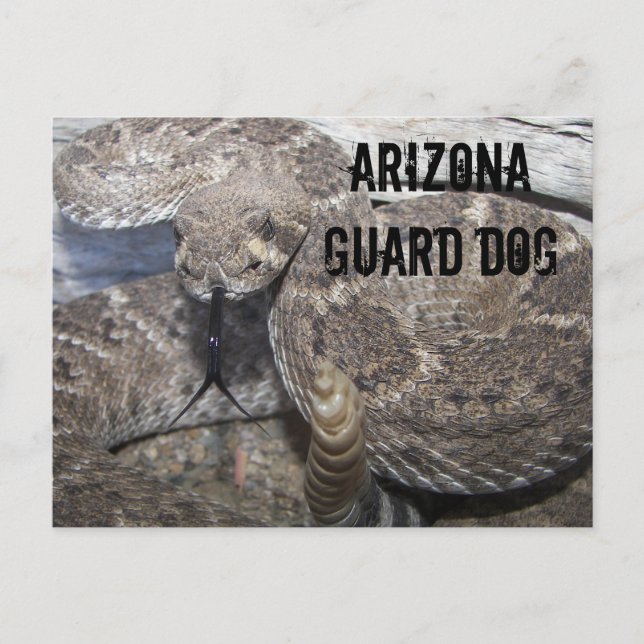 Arizona Guard Dog Postkarte (Vorderseite)