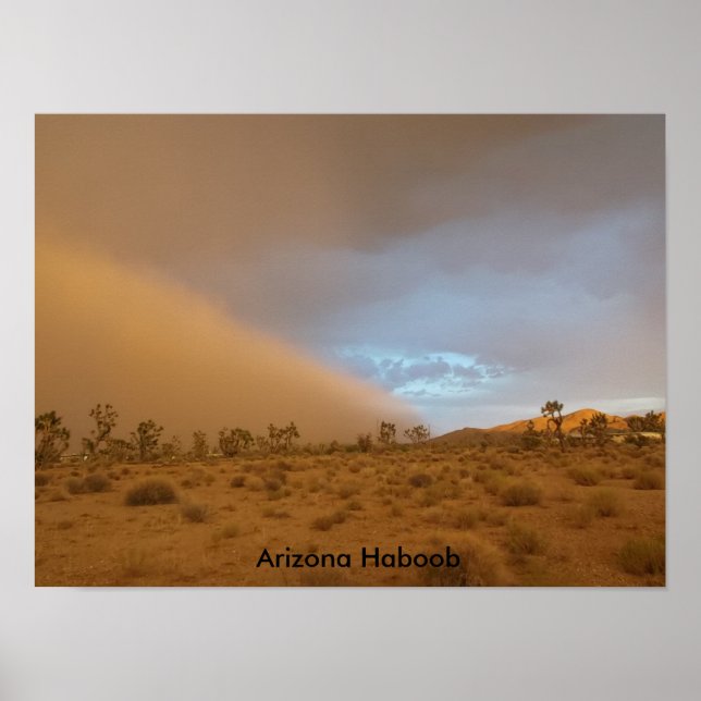 Arizona Haboob Poster (Vorne)