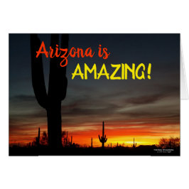 "Arizona ist fantastisch!" Sonnenuntergang Sonoran