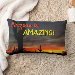 "Arizona ist Phantastisch!" Sunset Sonoran Desert Lendenkissen