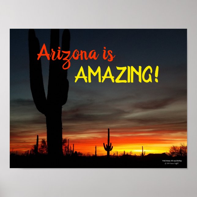 "Arizona ist Phantastisch!" Sunset Sonoran Desert  Poster (Vorne)