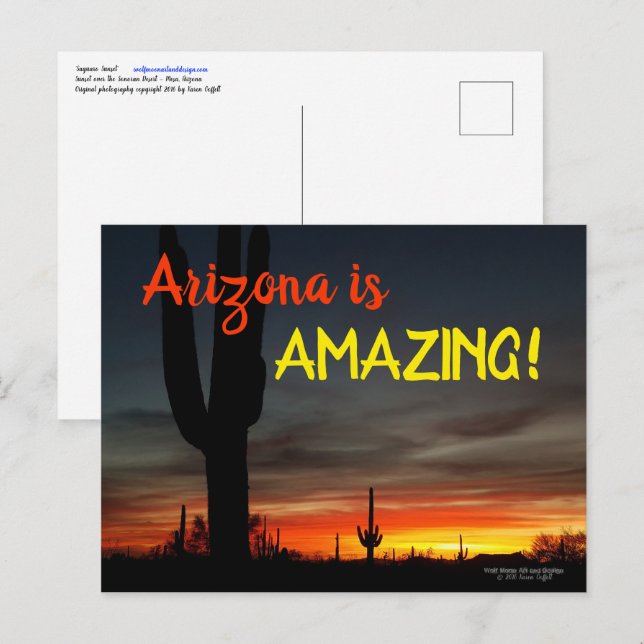 "Arizona ist Phantastisch!" Sunset Sonoran Desert  Postkarte (Vorne/Hinten)