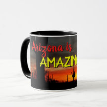 "Arizona ist Phantastisch!" Sunset Sonoran Desert 