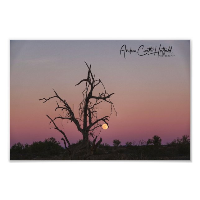 Arizona Moon Fotodruck (Vorne)