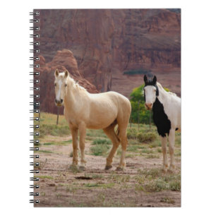 Arizona, Navajo Indian Reservation, Chinle, Notizblock