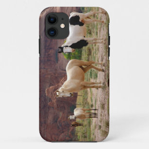 Arizona, Navajo-Indianerreservat, Chinle, Case-Mate iPhone Hülle