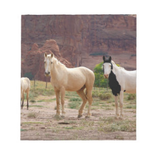 Arizona, Navajo-Indianerreservat, Chinle, Notizblock