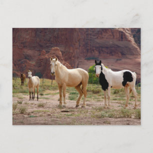 Arizona, Navajo-Indianerreservat, Chinle, Postkarte