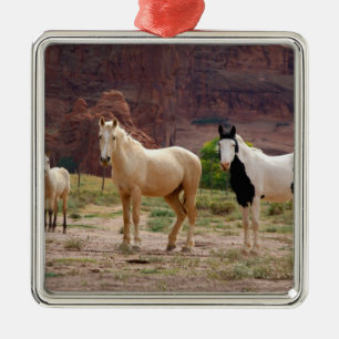 Arizona, Navajo-Indianerreservat, Chinle, Silbernes Ornament
