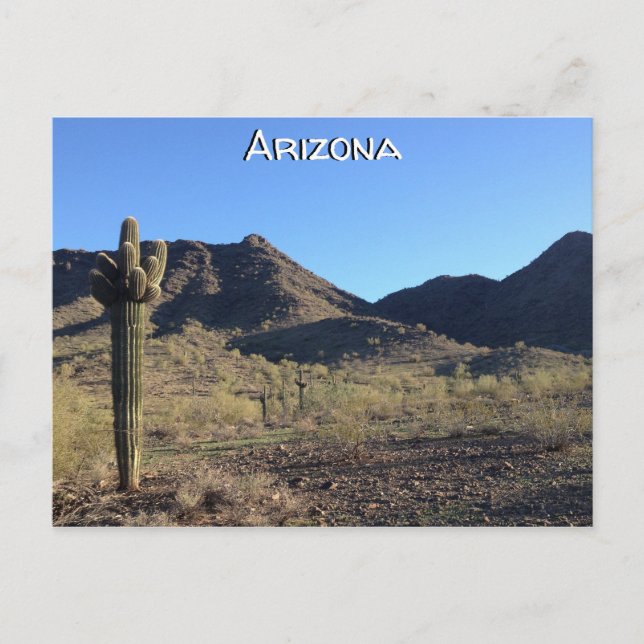 Arizona Postcard Postkarte (Vorderseite)