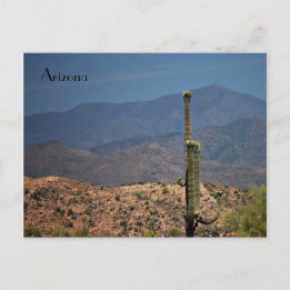 Arizona Postcard Postkarte