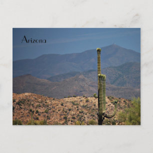 Arizona Postcard Postkarte