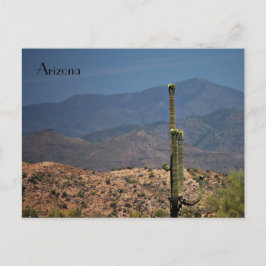 Arizona Postcard Postkarte