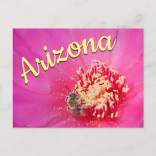 Arizona Postcard, Prickly Pear Bloom Bee Postkarte