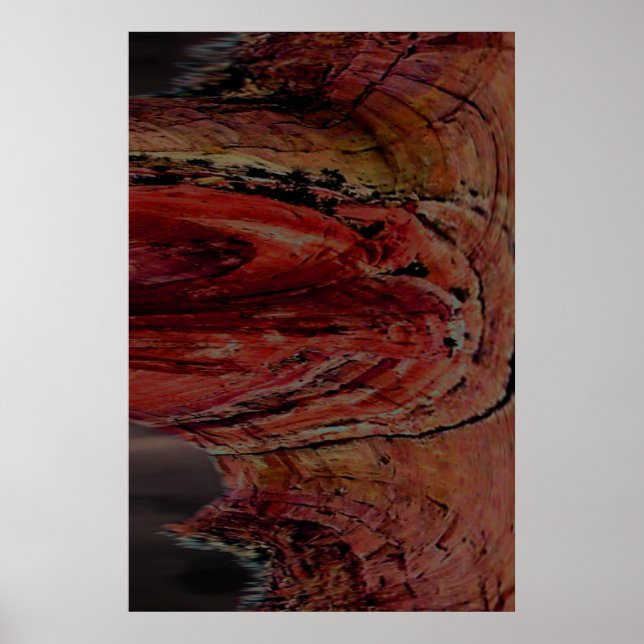 Arizona Poster (Vorne)