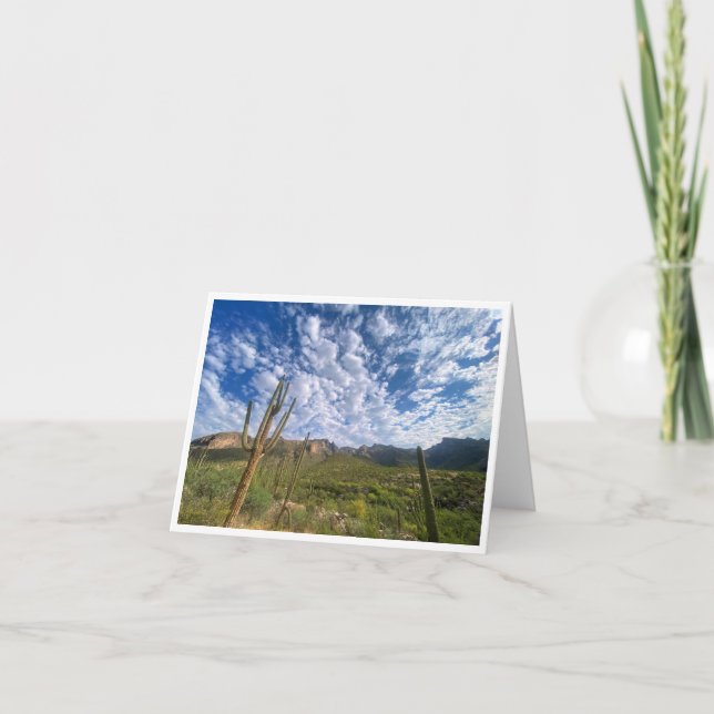 Arizona Postkarte 10 (Vorderseite)