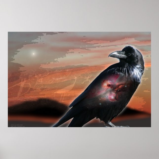 Arizona Raven Poster (Vorne)