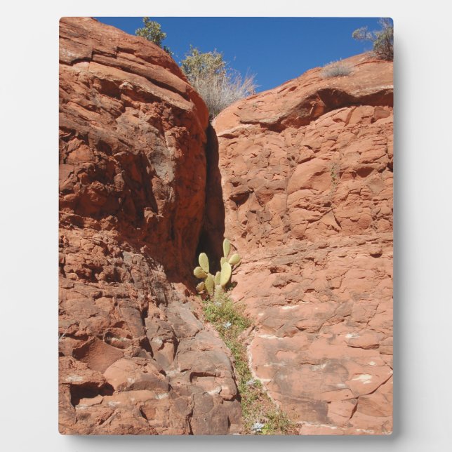 Arizona Red Rocks Landscape Foto Fotoplatte (Vorderseite)