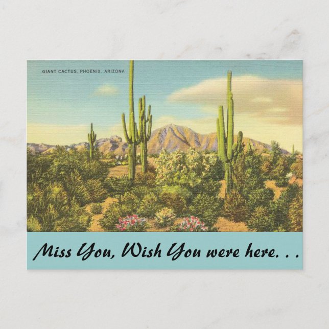 Arizona, Riesenkaktus Postkarte (Vorderseite)