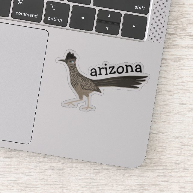 ARIZONA Roadrunner Bird Cfarbene Stift Kunst Aufkleber (Detail)