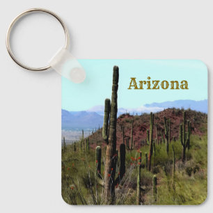 Arizona Saguaro Berglandschaft Schlüsselanhänger