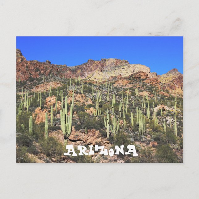 Arizona Saguaro Cactus Postcard Postkarte (Vorderseite)